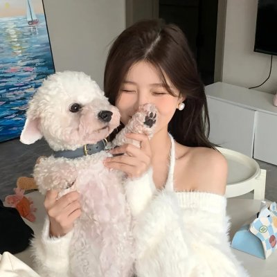最后的维米尔